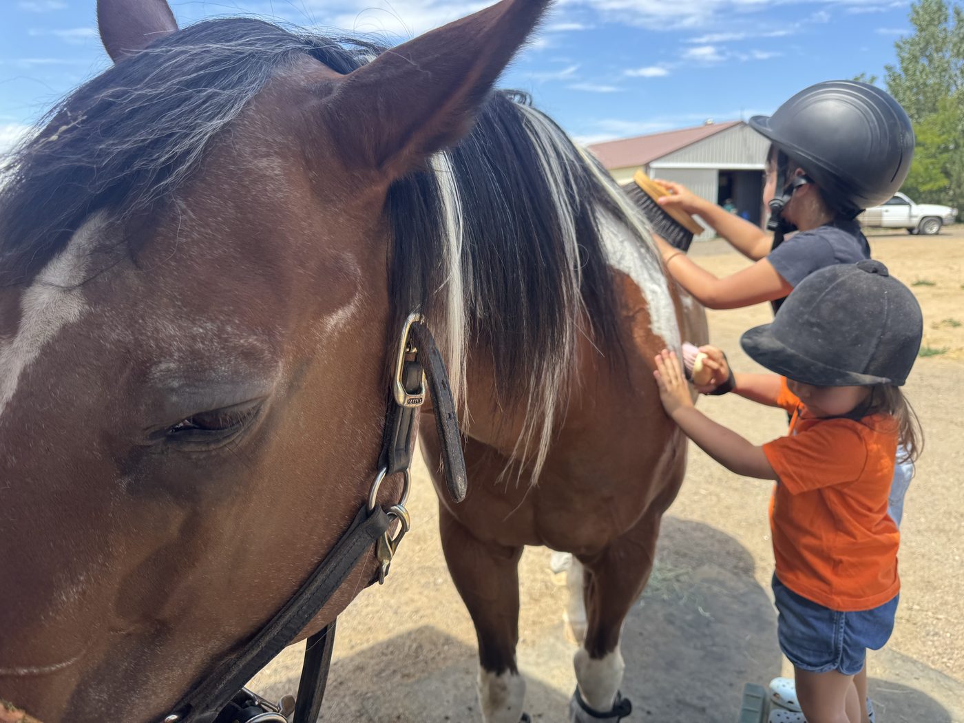 Two young riders in helmets brushing Bourbon together on a sunny day at SonFlower Ranch
